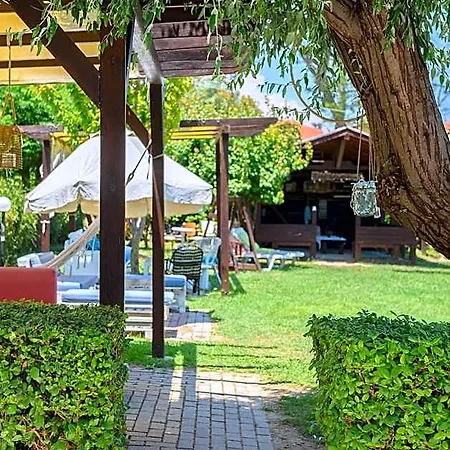 Papanikolaou 3* Amolianí